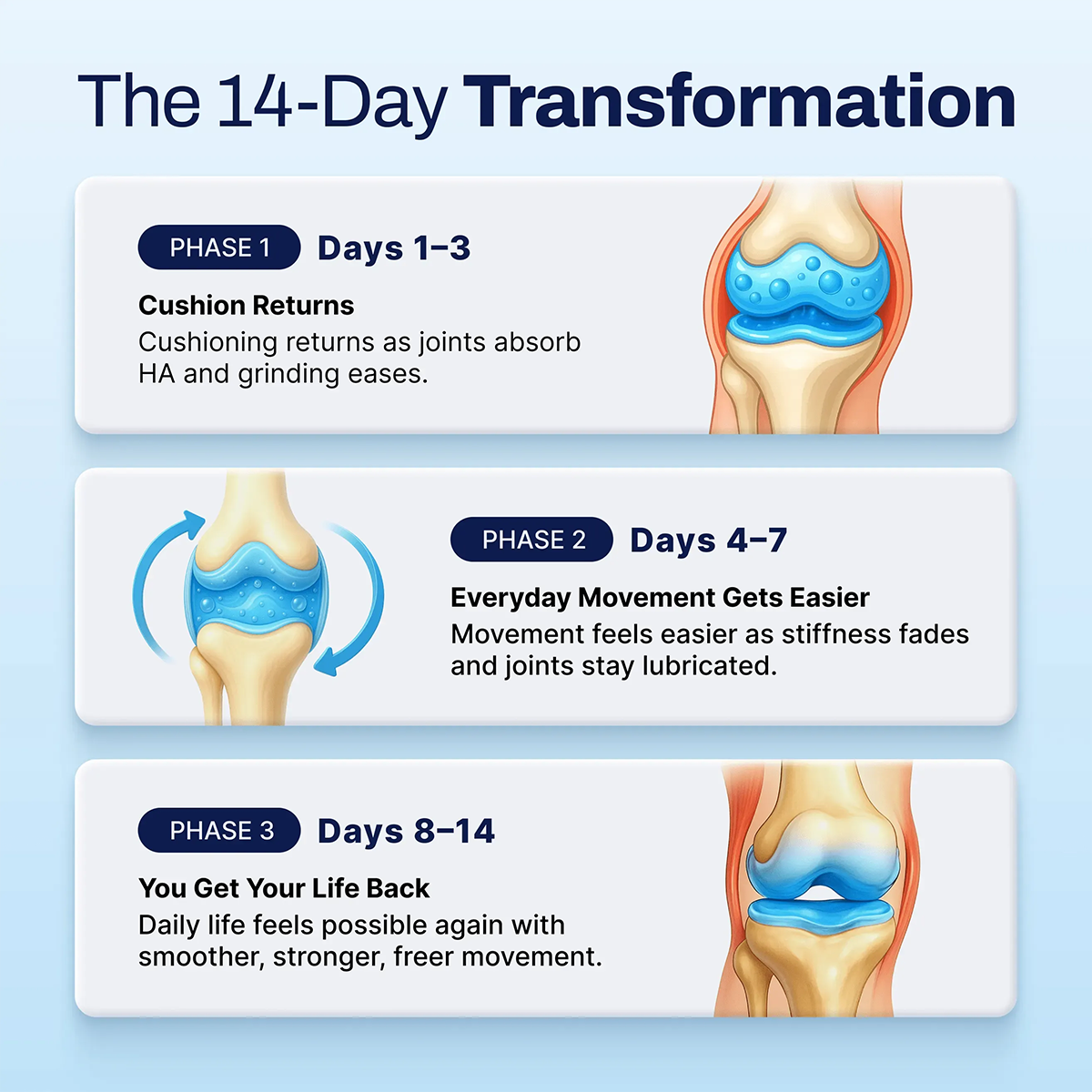 Zozast® Liposomal Hyaluronic Acid - 15-20x More Absorption